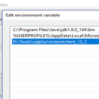 SQLS*Plus environmental variables