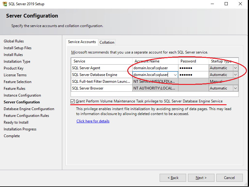 Configuring SQL Server service parameters, encoding