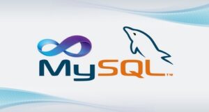 MySQL for a user