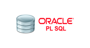 PL/SQL