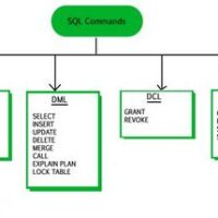 SQL Server - DDL and DML