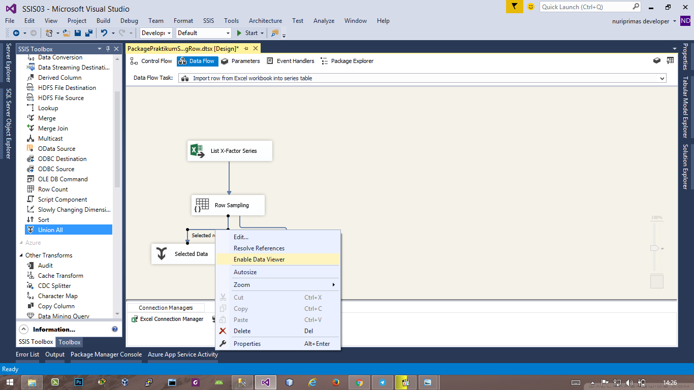 SQL Server Integration Services 