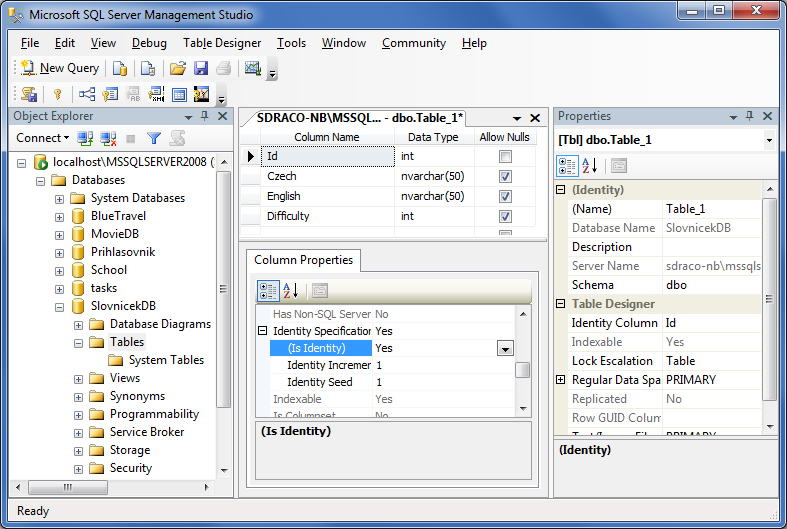 SQL Server Management Studio Environment