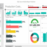 SQL Server Reporting Services - Service Secrets