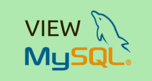 VIEW in MySQL