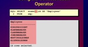 Oracle Concatenation Operator ||