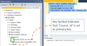 SQL Primary Keys