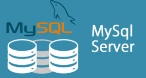 mysql server id 확인
