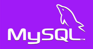 MySQL server