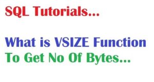 Oracle VSIZE function
