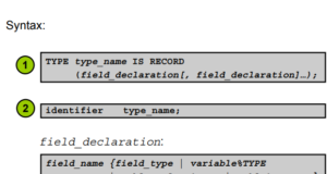 oracle sql prompt for input