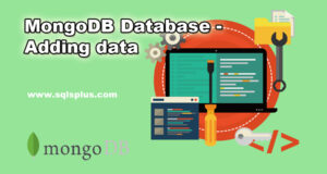 how to add data to mongodb database
