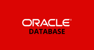 Oracle: rights and access to the database