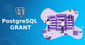 PostgreSQL Grant