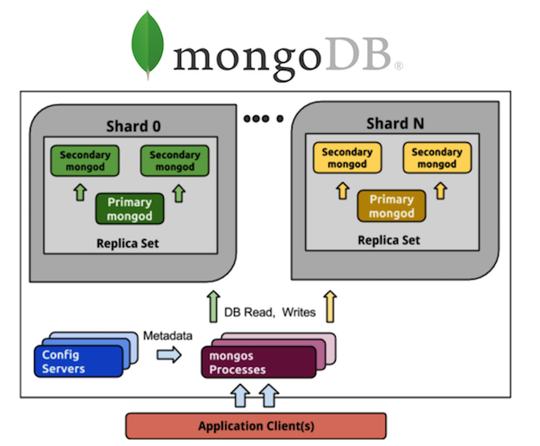 model of the database device in MongoDB