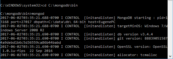 you can run the MongoDB server